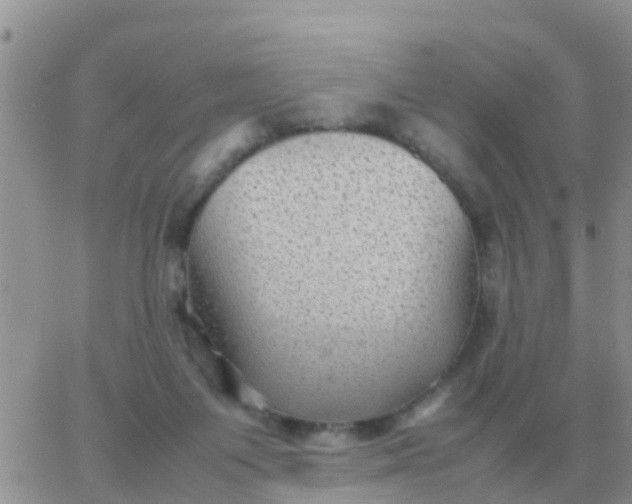 X0000065960119200603172034