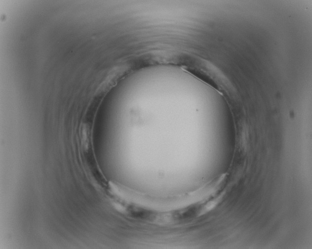 X0000065960121200603172034