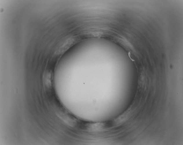 X0000065960122200603172034