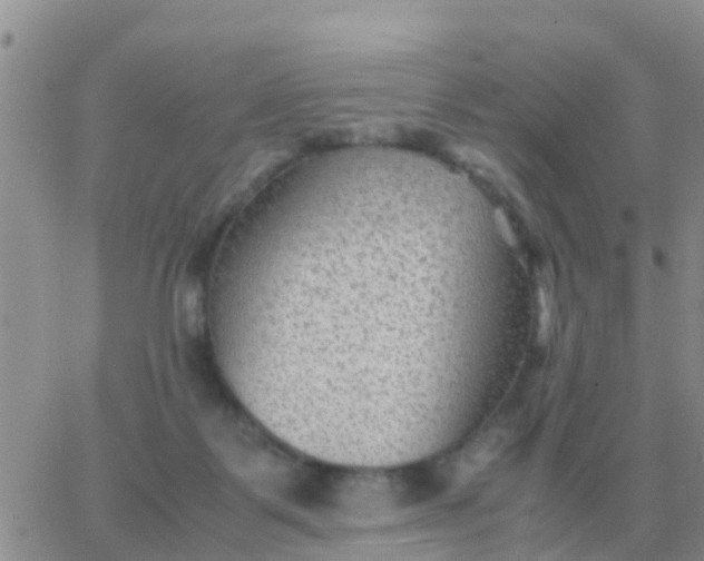 X0000065960123200603172034