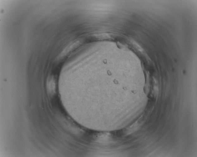 X0000065960124200603172034