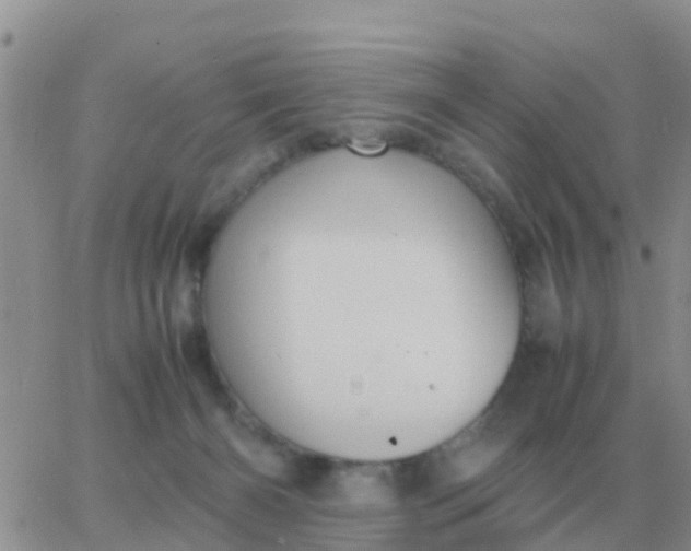 X0000065960126200603172034