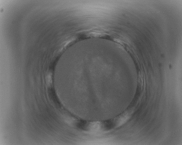 X0000065960127200603172034