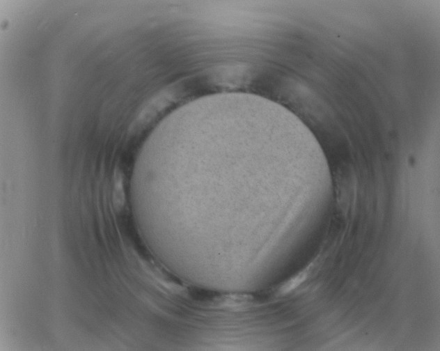 X0000065960128200603172034