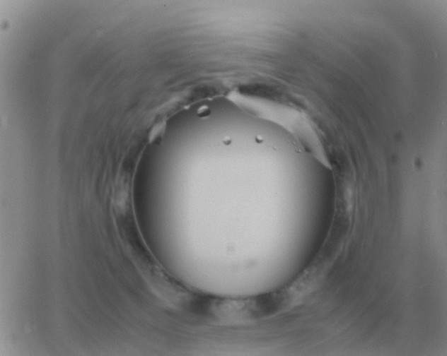 X0000065960129200603172034