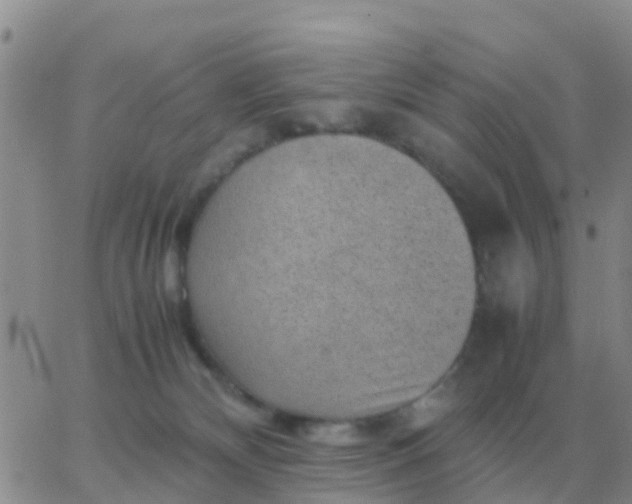 X0000065960132200603172034