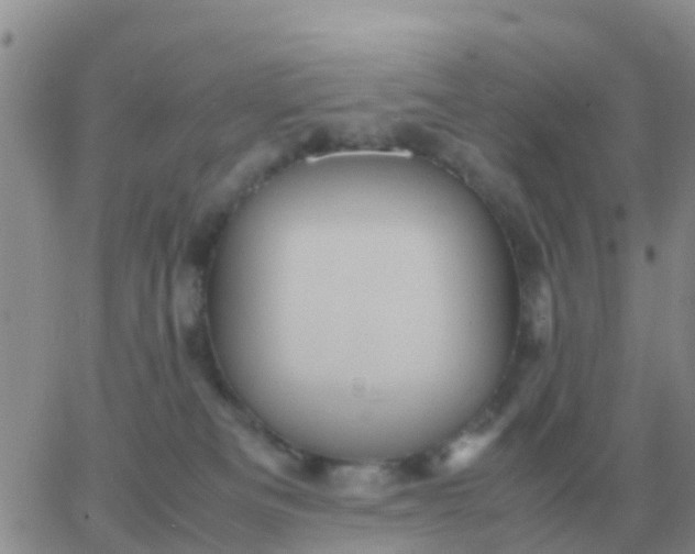 X0000065960133200603172034