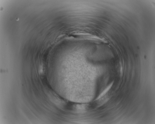 X0000065960134200603172034