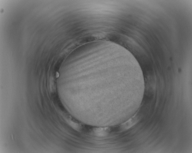 X0000065960136200603172034