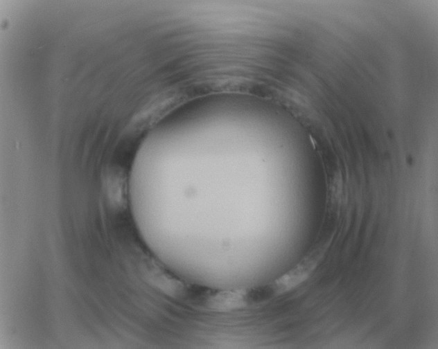 X0000065960138200603172034