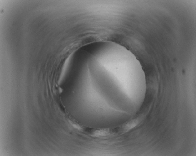 X0000065960139200603172034