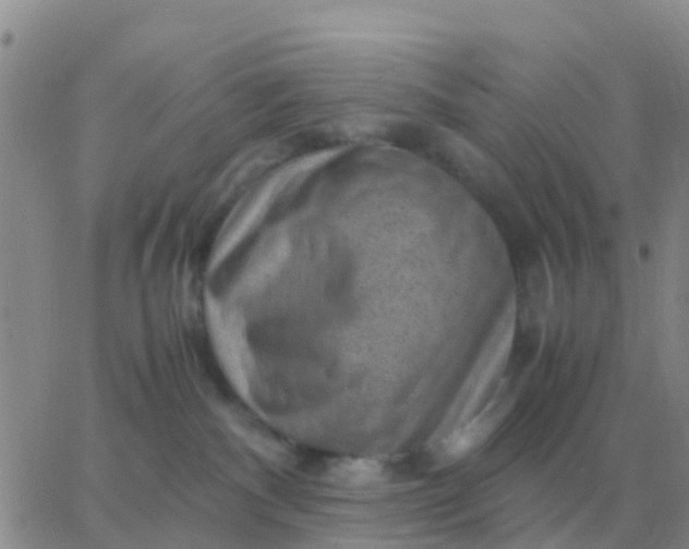 X0000065960140200603172034