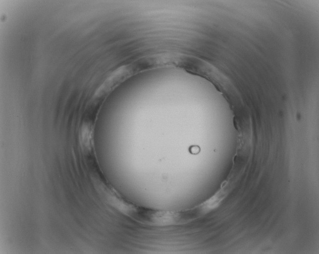 X0000065960142200603172034