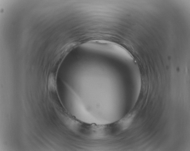 X0000065960143200603172034