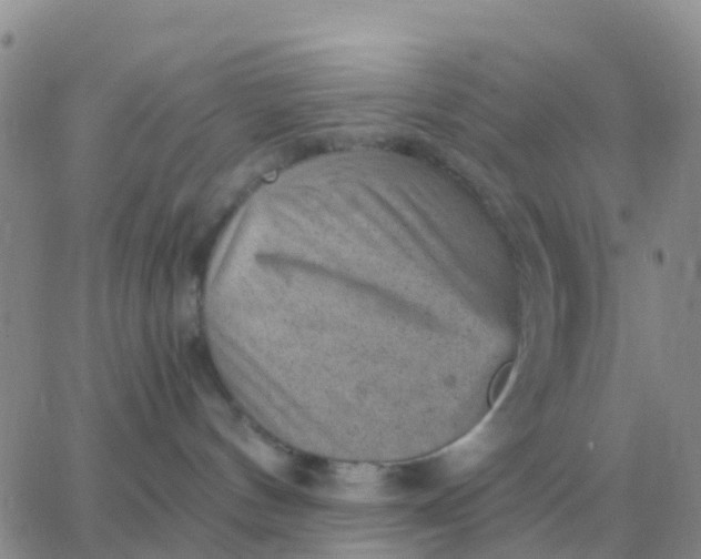 X0000065960144200603172034