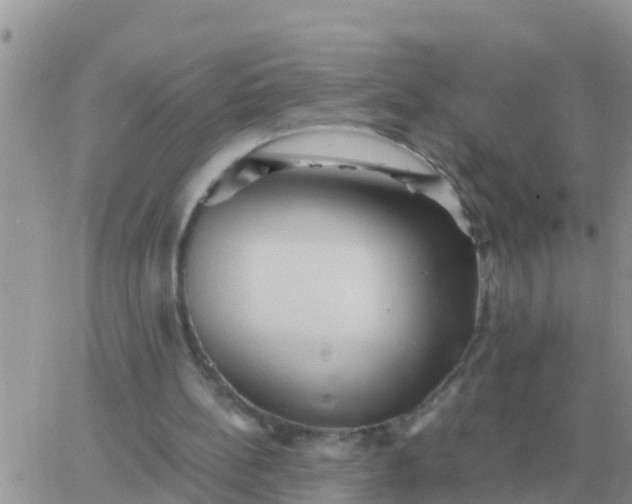 X0000065960148200603172033