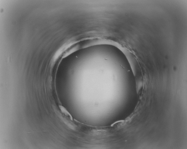 X0000065960150200603172033