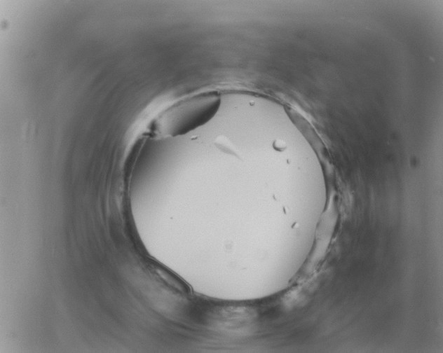 X0000065960152200603172033