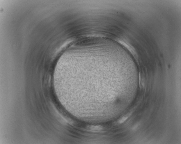 X0000065960157200603172033