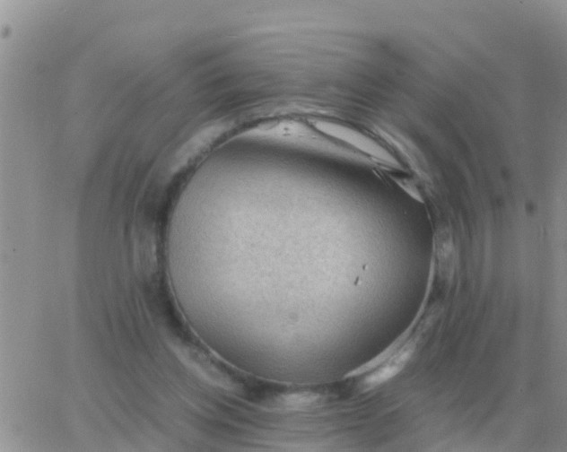 X0000065960158200603172033