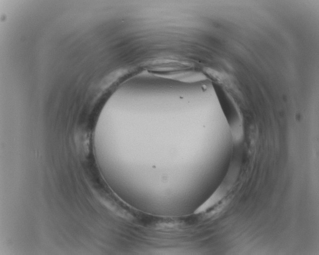 X0000065960160200603172033