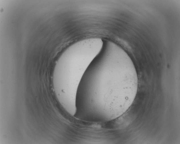 X0000065960162200603172033