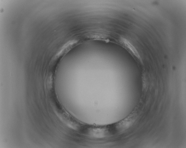 X0000065960163200603172033