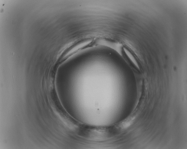 X0000065960164200603172033