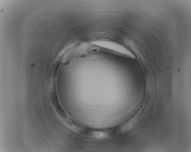 X0000065960167200603172033