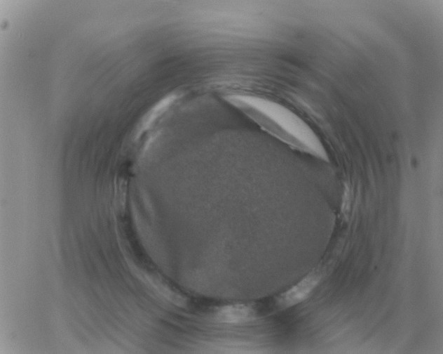 X0000065960168200603172033