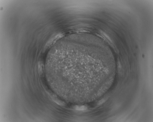 X0000065960169200603172033