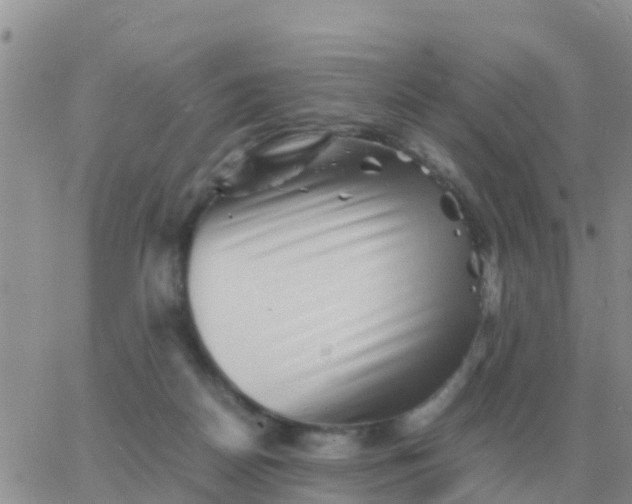 X0000065960170200603172033