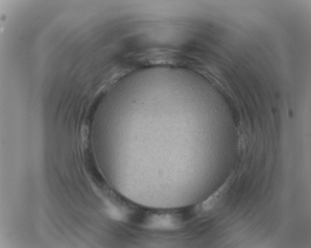 X0000065960171200603172033