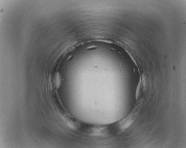 X0000065960172200603172033