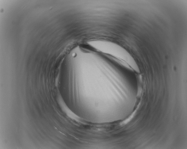 X0000065960174200603172033