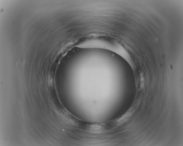 X0000065960176200603172033