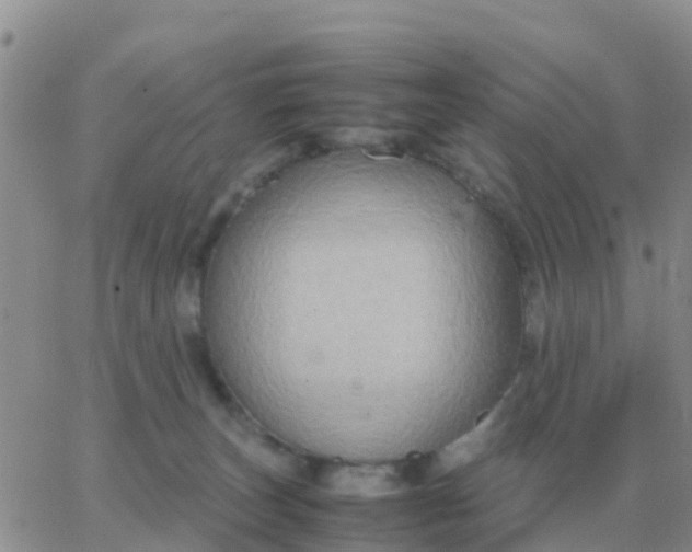 X0000065960179200603172034