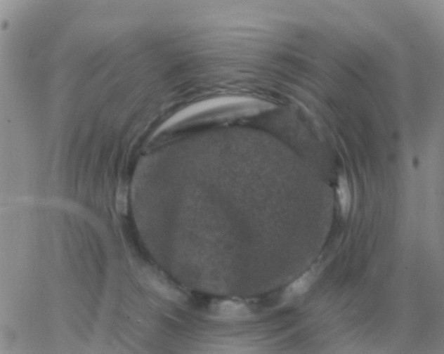 X0000065960180200603172034