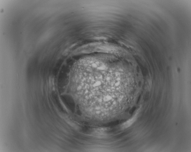 X0000065960182200603172034