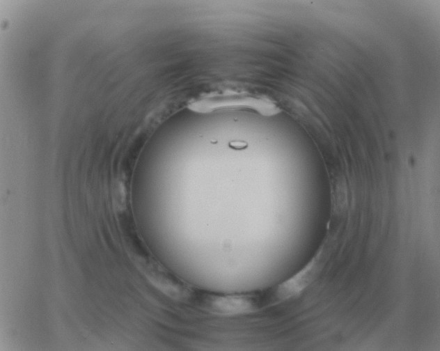 X0000065960183200603172034