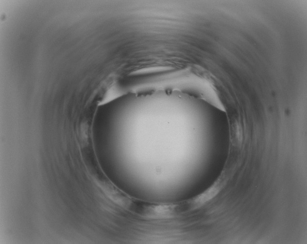 X0000065960184200603172034