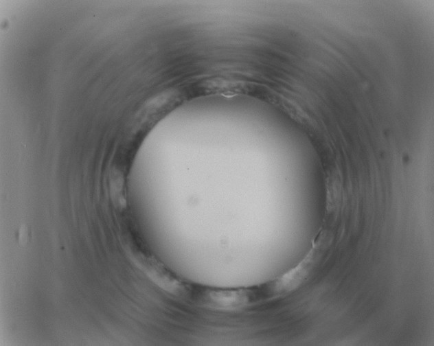 X0000065960187200603172034