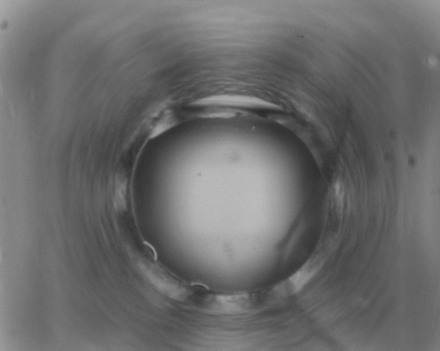 X0000065960188200603172034