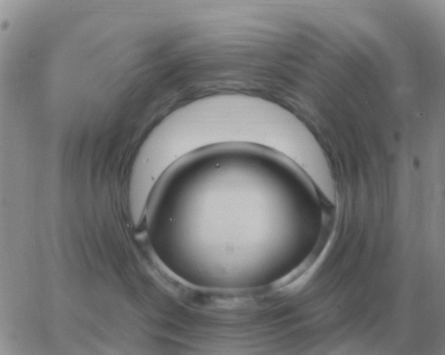 X0000065960190200603172034