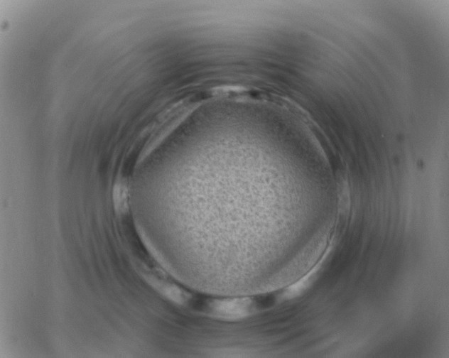 X0000065960191200603172034