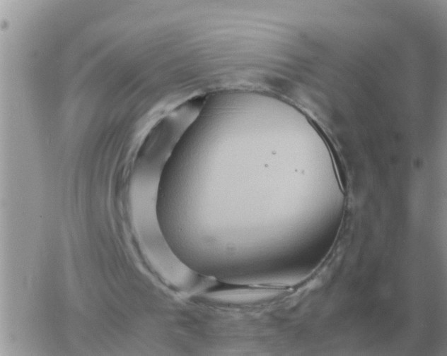 X0000065960193200603172033