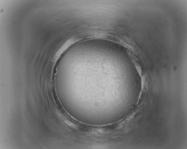 X0000065960195200603172033