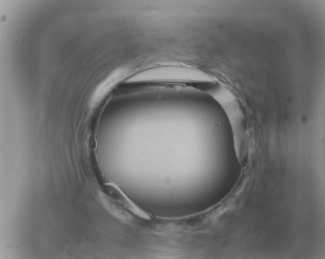 X0000065960197200603172033