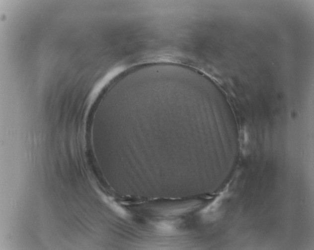 X0000065960200200603172033