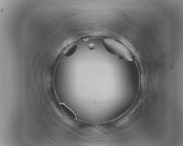 X0000065960201200603172033